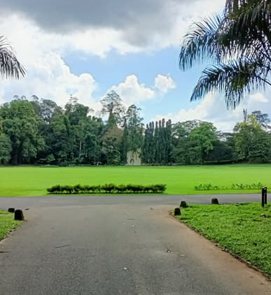 Kandy Day Tour