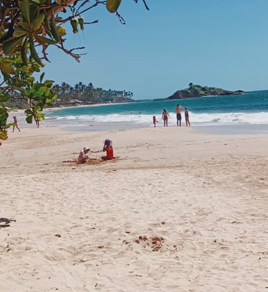 Negombo Day Tour